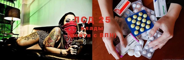 твердый Алексеевка
