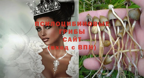 твердый Алексеевка