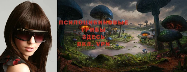 твердый Алексеевка