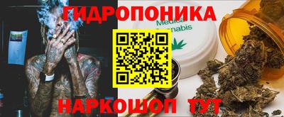 шишки Кизилюрт