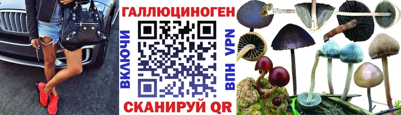 Галлюциногенные грибы Psilocybine cubensis  Арзамас 